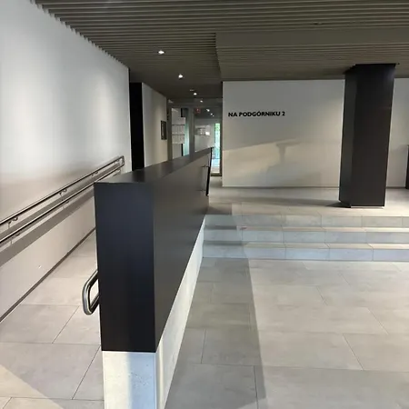 Podgornik Modern Lägenhet